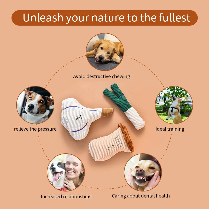 Vegetable shaped plush dog squeaky chew toy