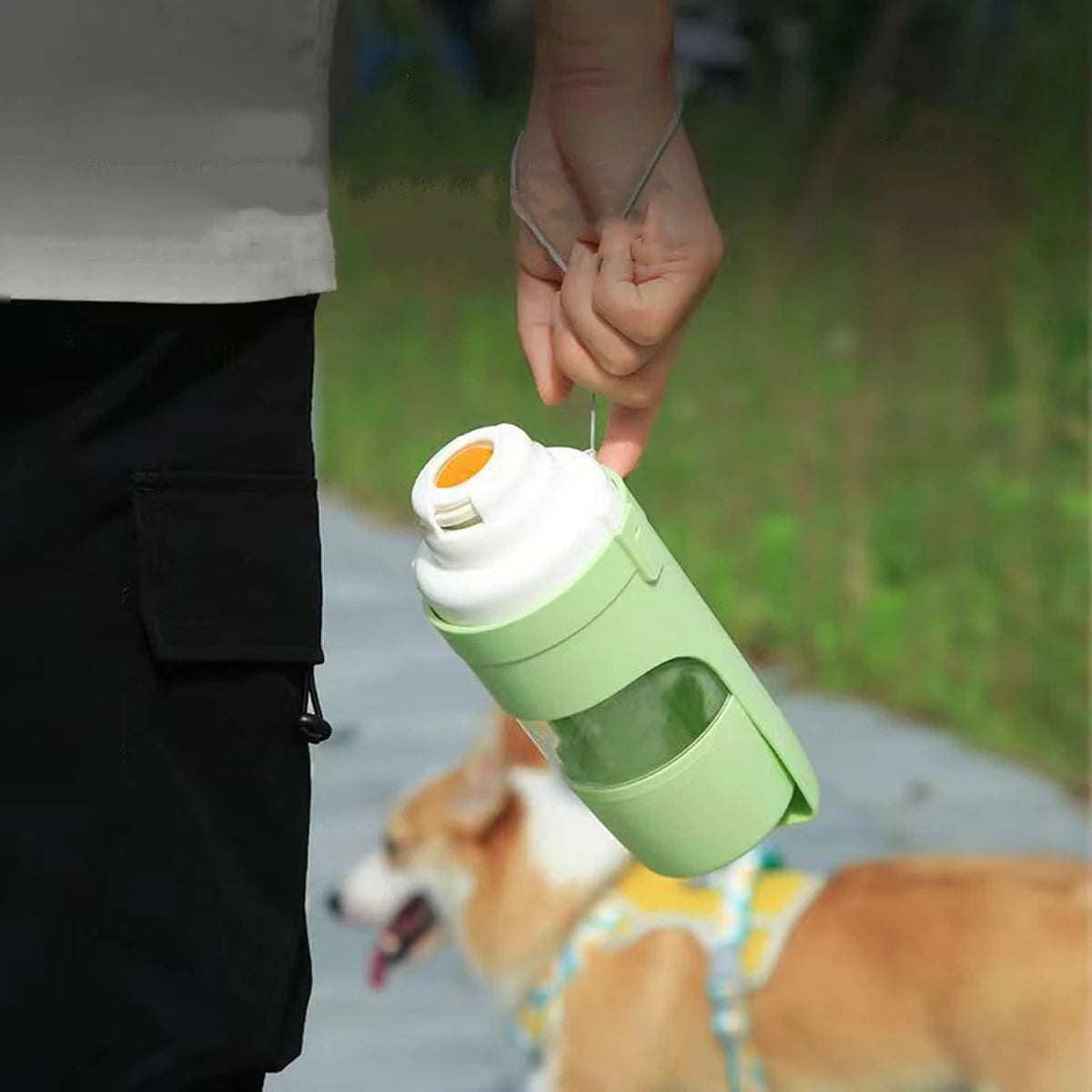 Portable dog water and feeding bottle