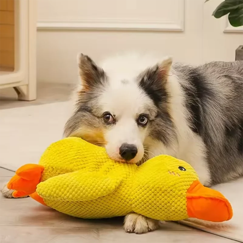 Plush squeaky duck dog toy, soft comfort and interactive play