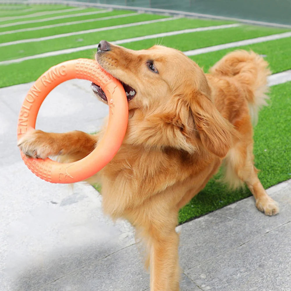 Ring flying disc and fetch toy