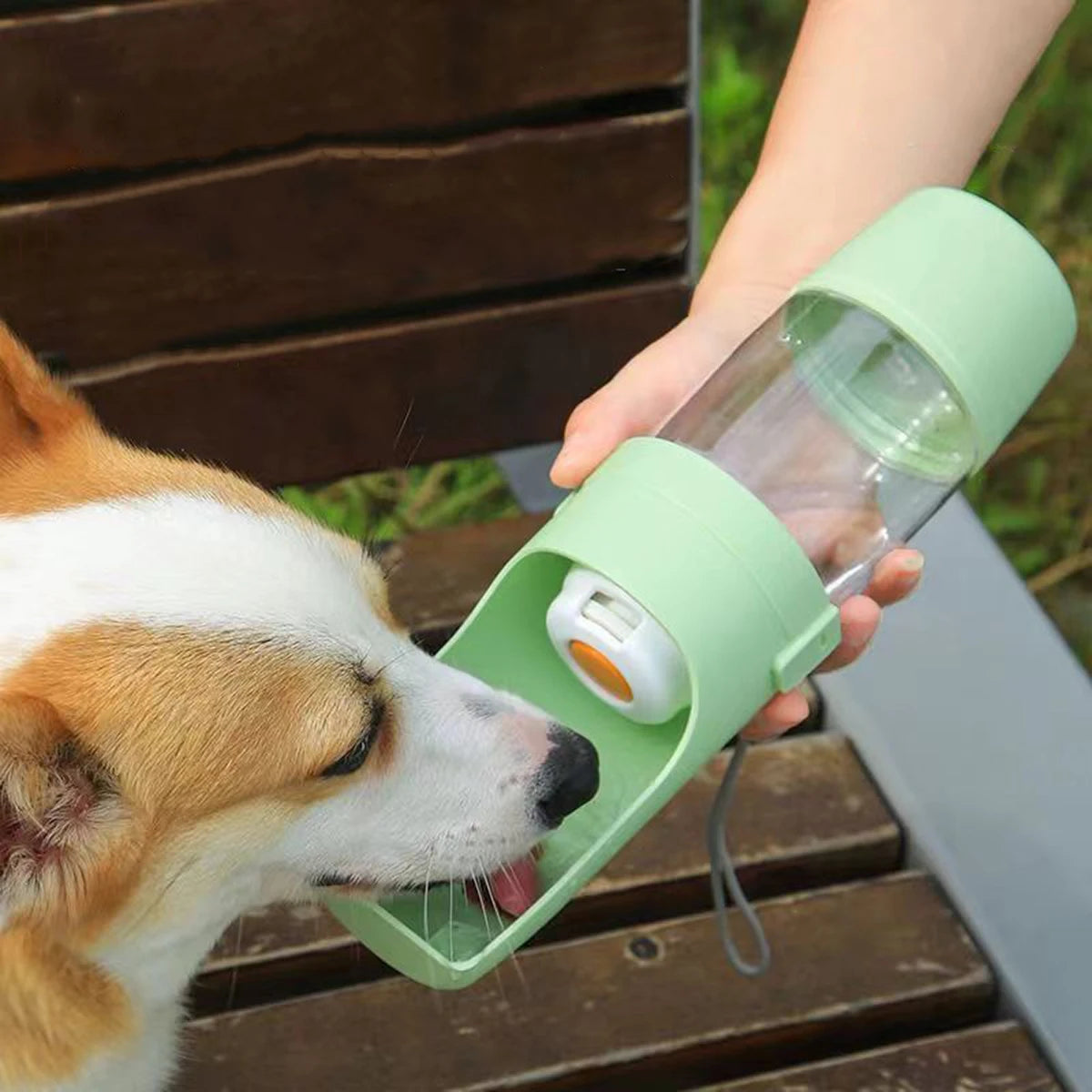 Portable dog water and feeding bottle