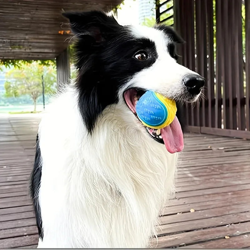 Colourful chew resistant ball