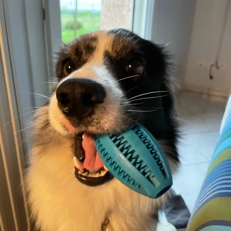 Interactive treat dispensing dog toy