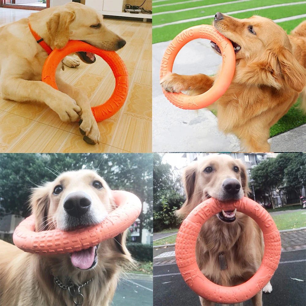 Ring flying disc and fetch toy