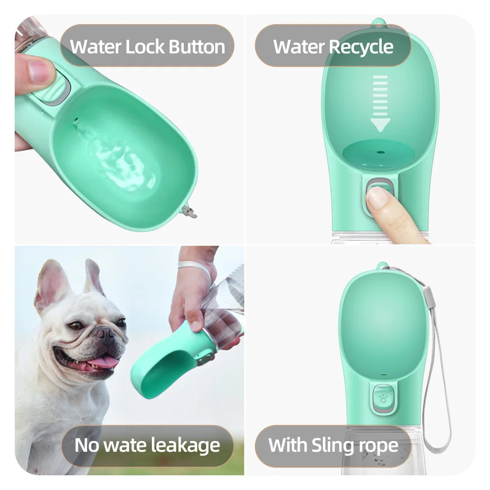 Portable water bottle for dogs