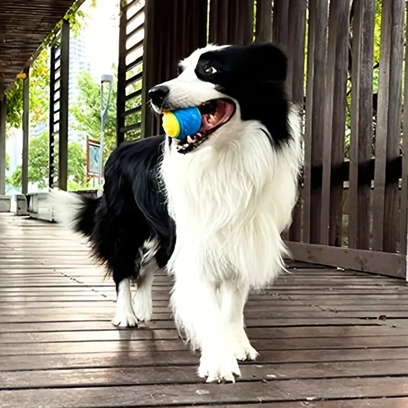 Colourful chew resistant ball