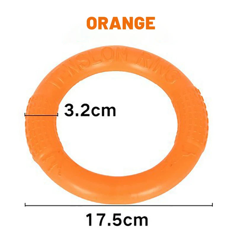 Ring fetch toy