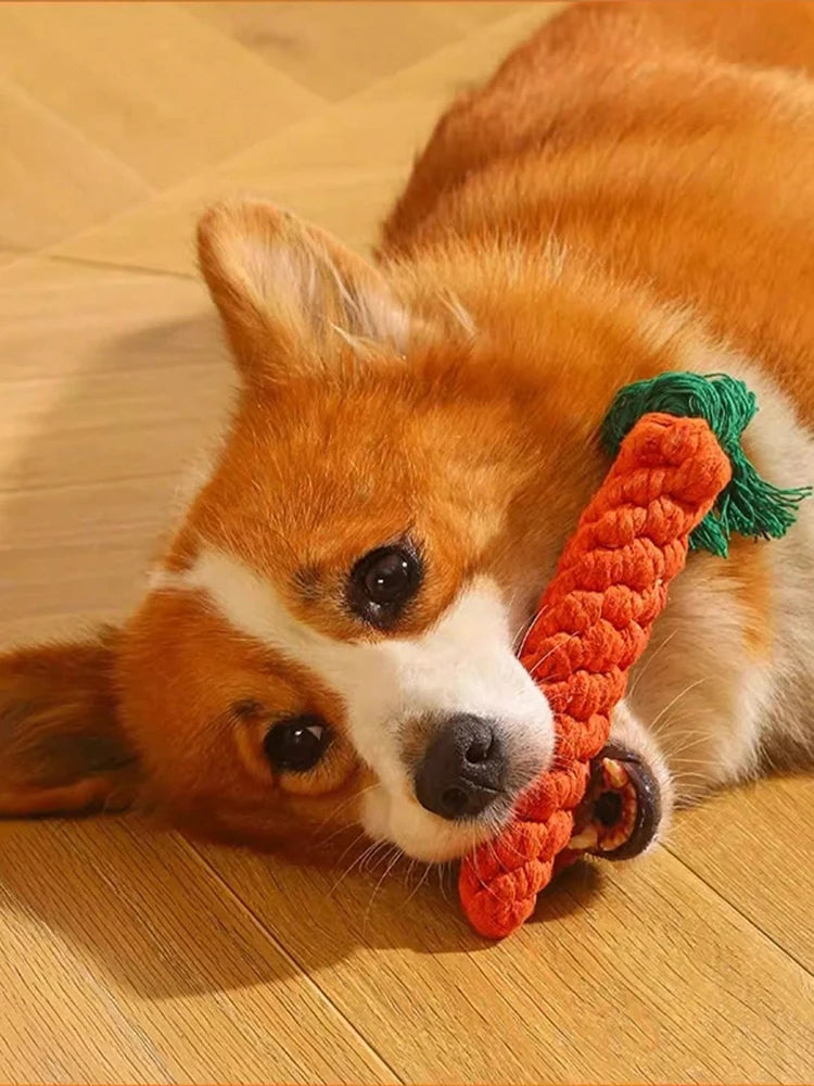 Rope dog toy, durable cotton chew toy