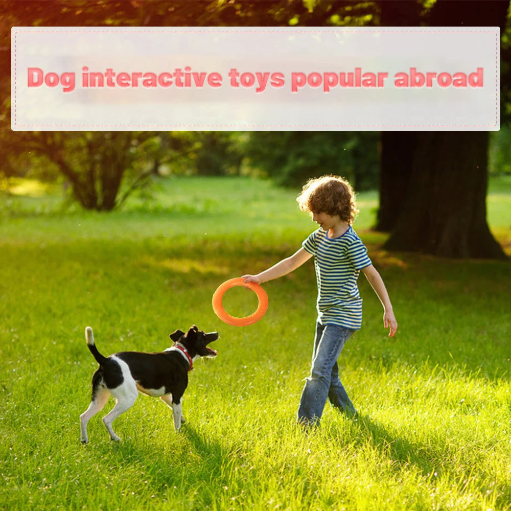 Ring fetch toy