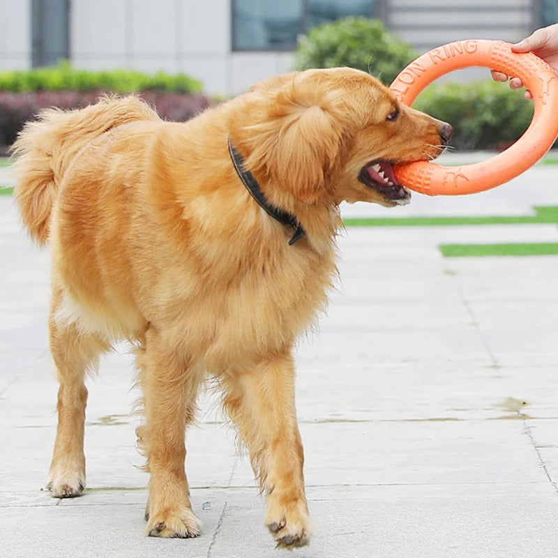 Ring fetch toy