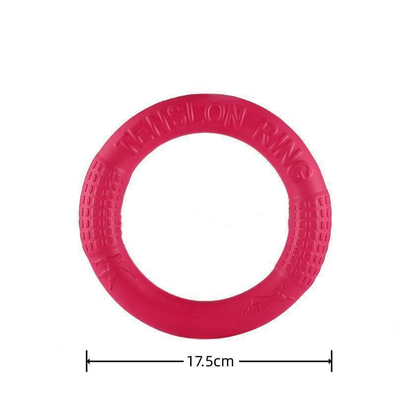 Ring flying disc and fetch toy